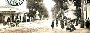 1016- Sidi-bel-Abbes - Avenue Kleber2